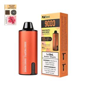 [FD] ZBEST 9000 MANGO PINEAPPLE -8ct