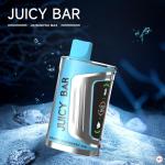 [FD] JB25000 ProMax BLUEBERRY RASPBERRY ICE - 5ct