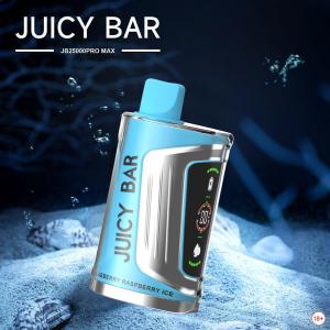 [FD] JB25000 ProMax BLUEBERRY RASPBERRY ICE - 5ct