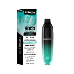 [FD] Vanza RB5000 COOL MINT - 10ct
