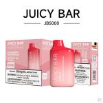 [FD] JB5000 STRAWBERRY WATERMELON - 5ct