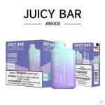 [FD] JB5000 BLUEBERRY RASPBERRY - 5ct
