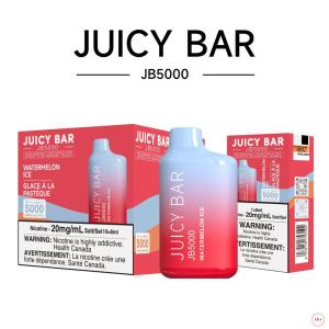 [FD] JB5000 WATERMELON ICE - 5ct