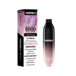 [FD] Vanza RB5000 STRAWBERRY ICE- 10ct